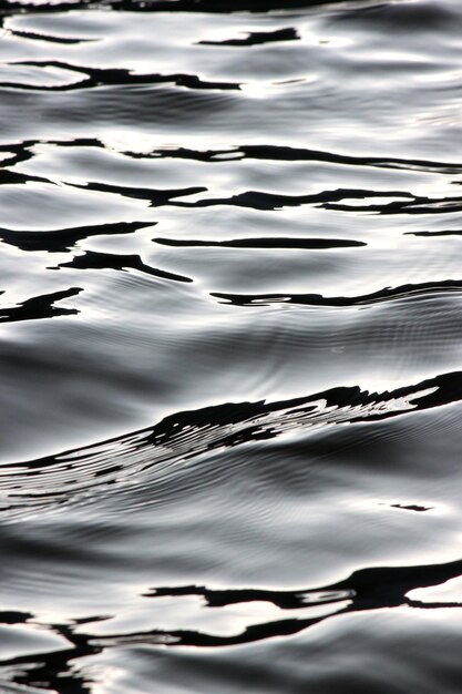 Photo reflection of trees in water