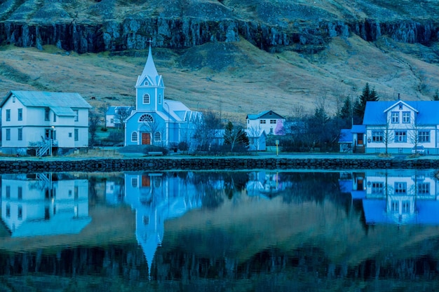 reflection of trees in water
