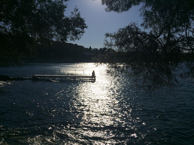 Foto riflessione degli alberi nell'acqua