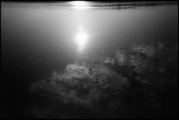 Reflection of trees in water