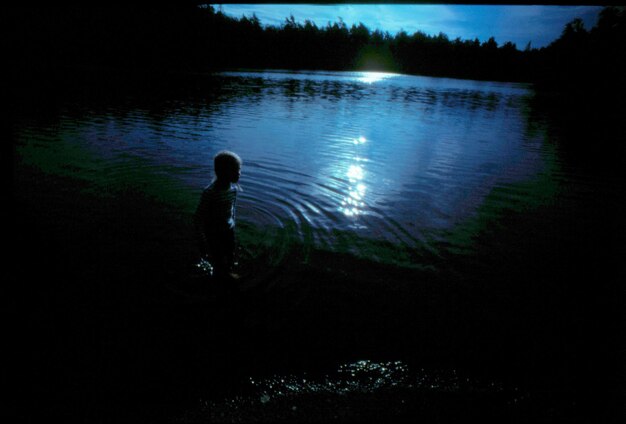 Foto riflessione degli alberi nell'acqua