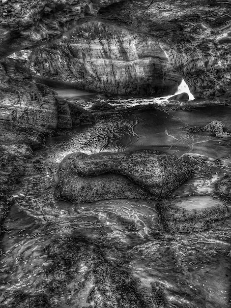 Foto riflessione degli alberi nell'acqua