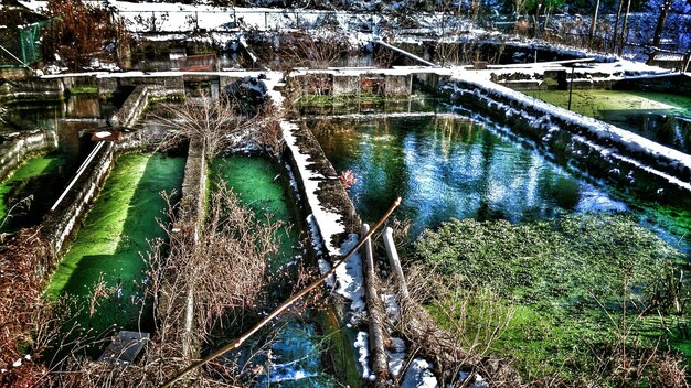 Photo reflection of trees in water