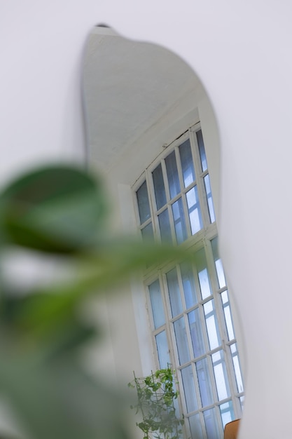 Reflection of a window in a curved designer mirror.