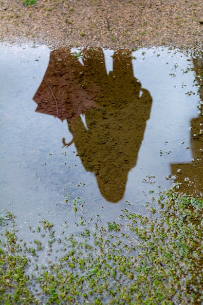 Reflection of a woman in a puddle of water on the ground