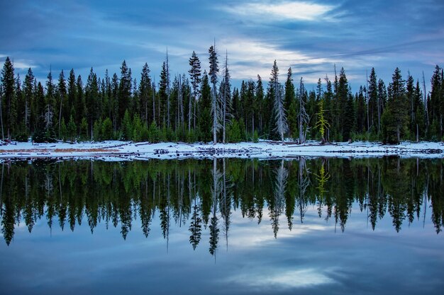 Foto riflessioni sul lago vicino a bend oregon