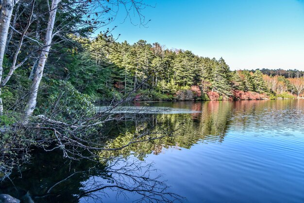 Foto riflessi del lago