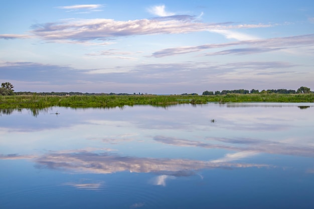 Reflections on a Lake