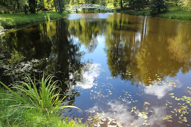 reflections of the sky and trees in the pond