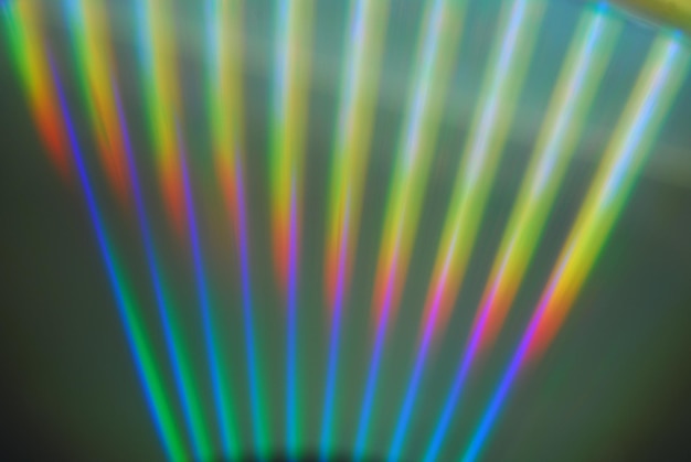 Photo reflections on the surface of a compact disc