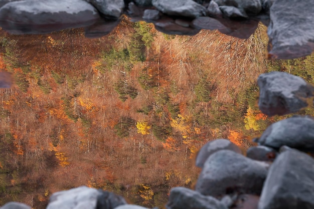 Reflections in the water in the Valley of Hecho