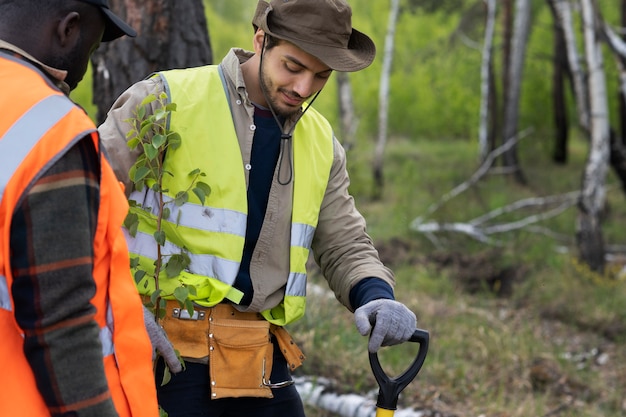 Photo reforestation done by voluntary group