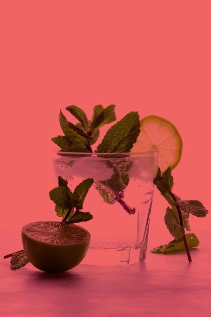 Refreshing citrus cocktail with mint on a bright colored background Healthy citrus summer drink Closeup