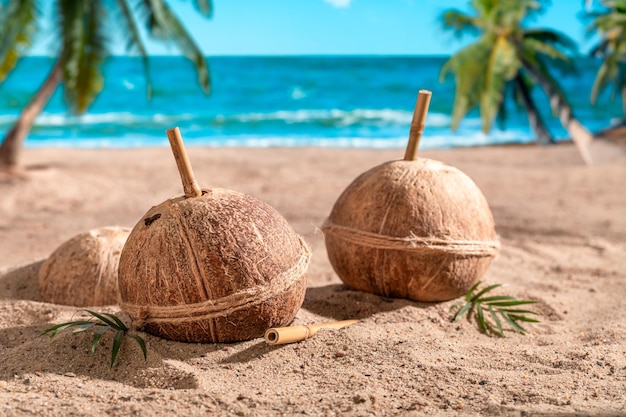 Refreshing coconut milk in shell on an exotic island