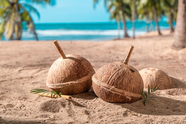 Refreshing coconut milk in shell on a tropical island