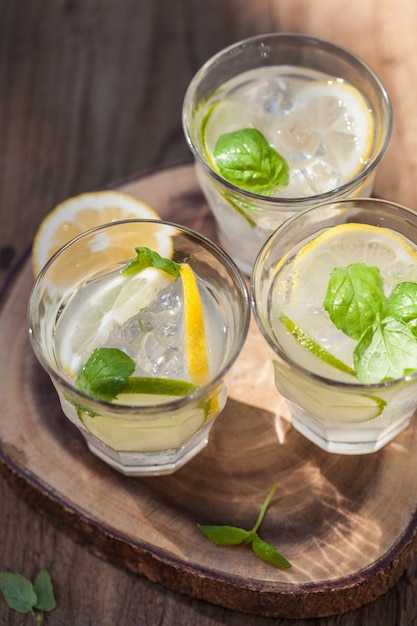 Refreshing lemonade drink with mint and citrus