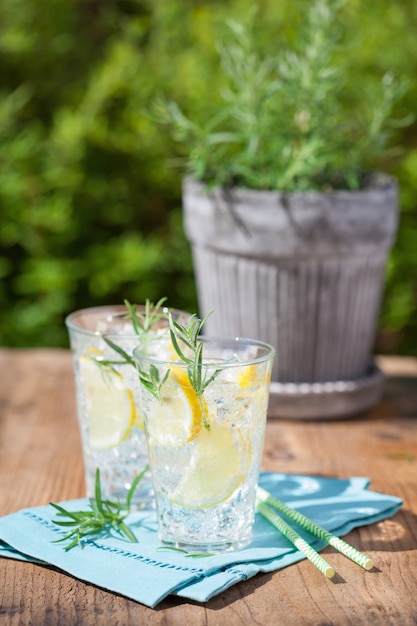 Refreshing lemonade drink with rosemary in glasses