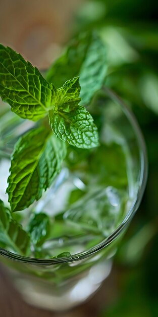 Photo refreshing mint mojito delight