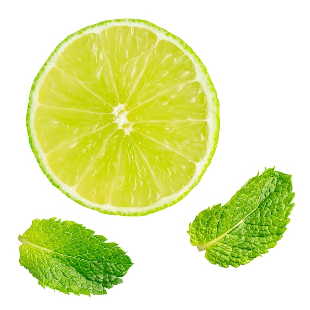 Refreshing sour juicy lime slice cross section and two fresh aromatic green mint leaves on white