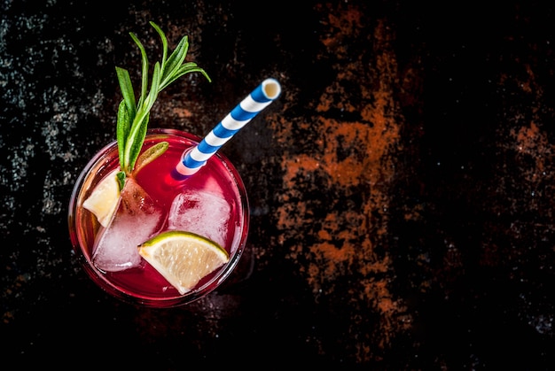 Refreshment alcoholic red cranberry and lime cocktail with rosemary and ice, two glass top view