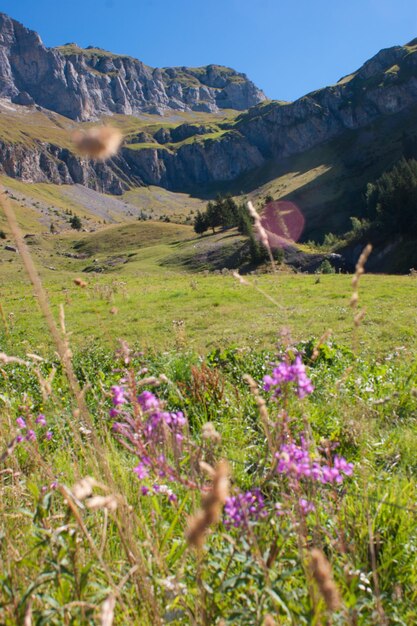 Foto refuge de veransallancheshautes savoiefrance