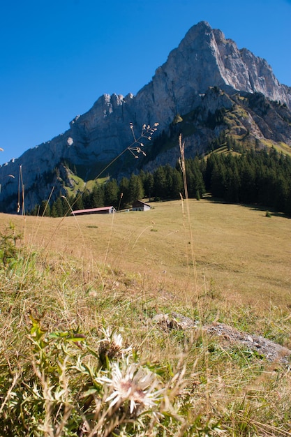 Refuge de veransallancheshautes savoiefrance