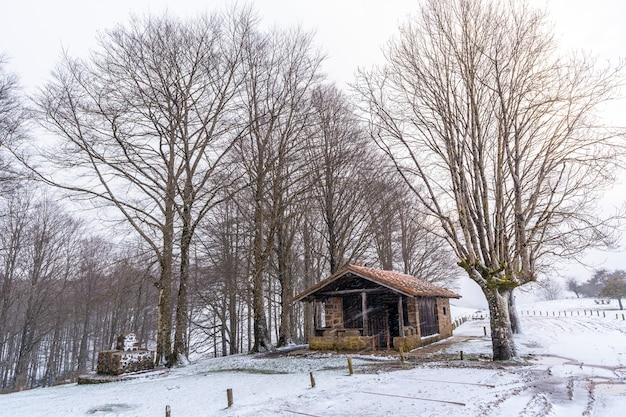 A refuge among trees on the ascent to Mount Aizkorri in Gipuzkoa. Snowy landscape by winter snows