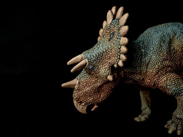 Regaliceratops Dinosaur op zwart