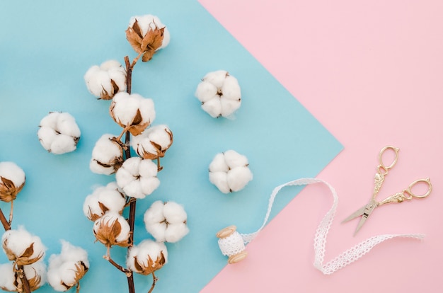 Foto regeling met katoenen bloemen en een schaar