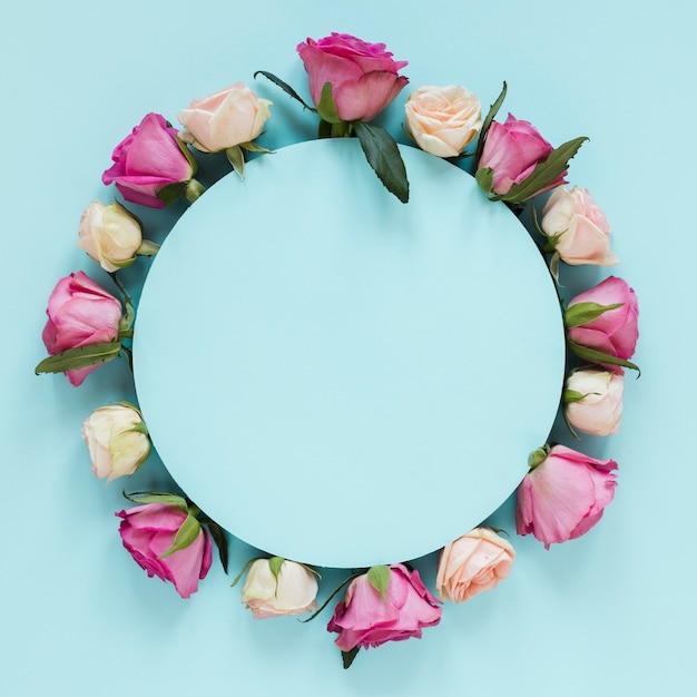 Foto regeling op gradiënt roze en witte rozen met blauwe achtergrond