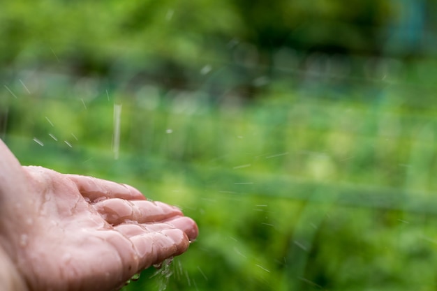 Regen druppels vangen