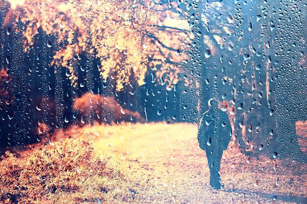 regen raam herfst park takken bladeren geel / abstracte herfst achtergrond, landschap in een regenachtig raam, weer oktober regen