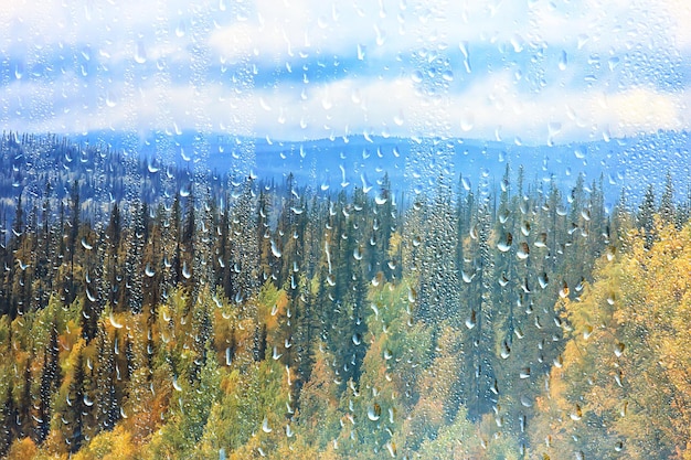 regen raam uitzicht, waterdruppels op glas uitzicht bos en bergen landschap achtergrond