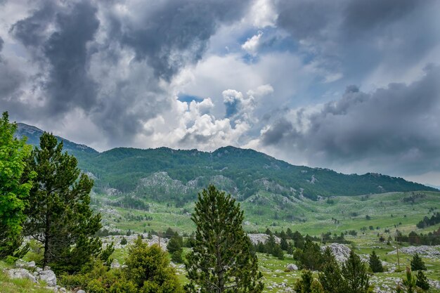 Regenachtige wolken naderen de groene bergweide