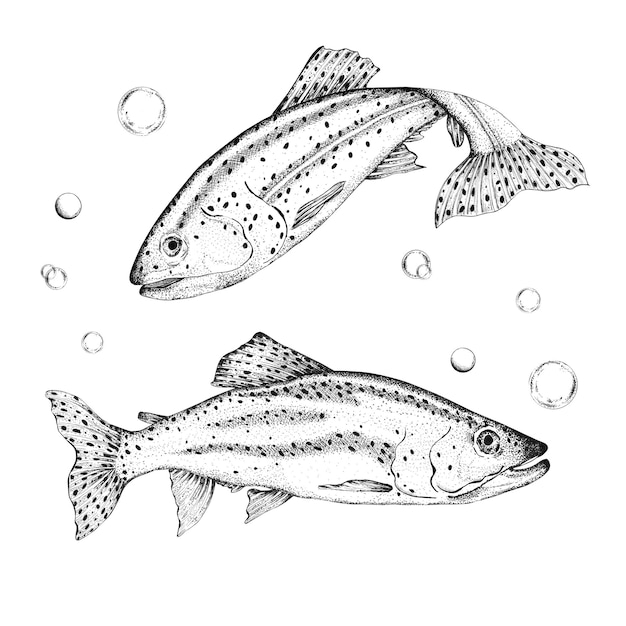 Regenboog en bruine forel onder water met luchtbellen Visserij clipart Zwart en wit Handgetekende inkt