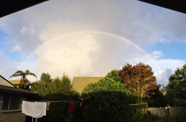 Foto regenboog over bomen tegen bewolkte lucht