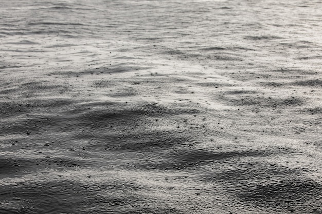 Regendruppels over het wateroppervlak van de zee. Waterdruppel laat cirkelsporen achter