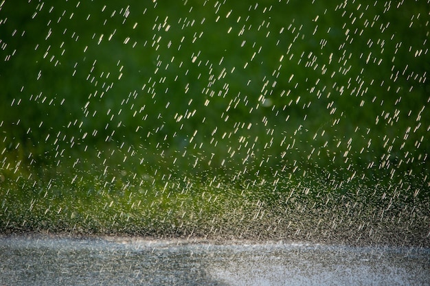 Regendruppels vallen op het groene gras in het park