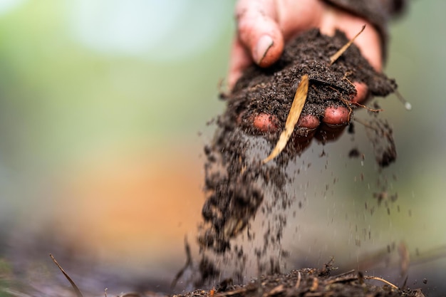 Foto regeneratieve biologische boer die bodemmonsters neemt en de plantengroei bekijkt op een boerderij die duurzame landbouw beoefent