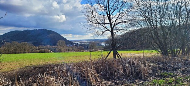 Foto regensburg valhala set panorama