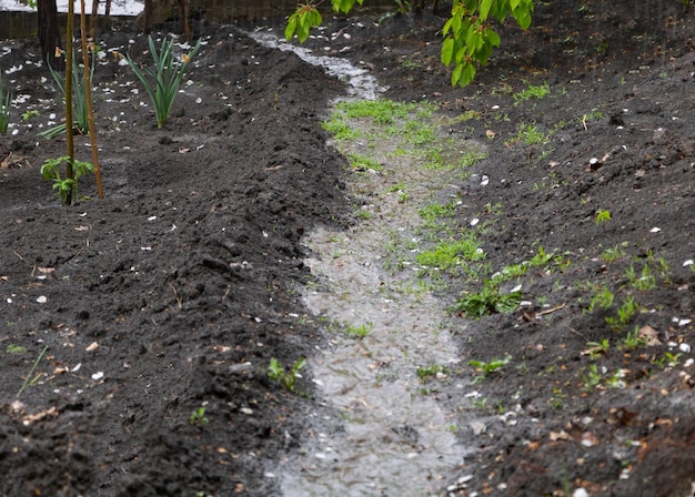 Regenwater loopt via het pad de tuin in