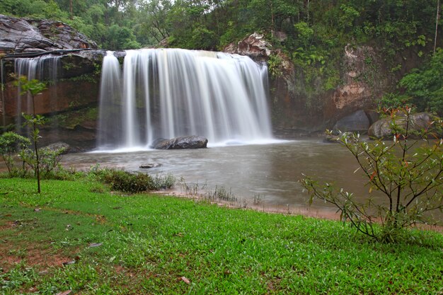 Regenwoud waterval