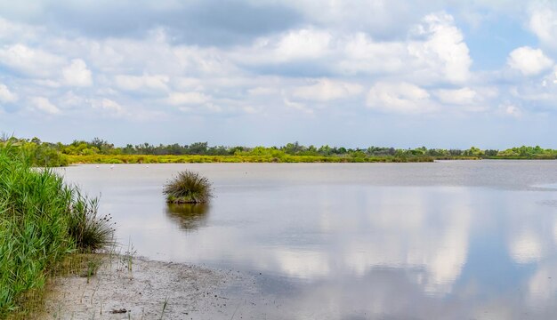 Regionaal natuurpark van de Camargue