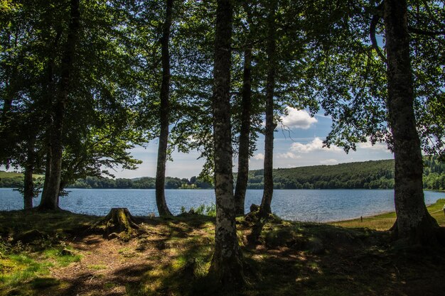 Regionaal natuurpark van de vulkanen van de Auvergne