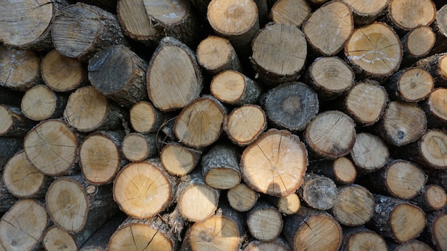 Regularly Laid Pieces Logs Of Wood For The Fireplace