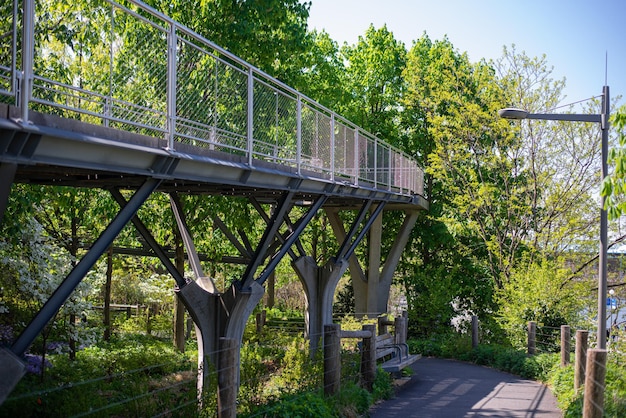 железобетонная конструкция моста в парке Сквибб