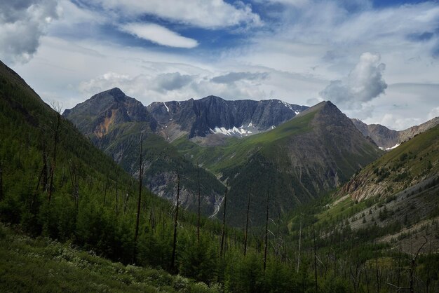 Reis door de Altai-bergen verbazingwekkende natuur van bergtoppen rivieren en beken stromen af van de helling van de bergen Altai-republiek Rusland