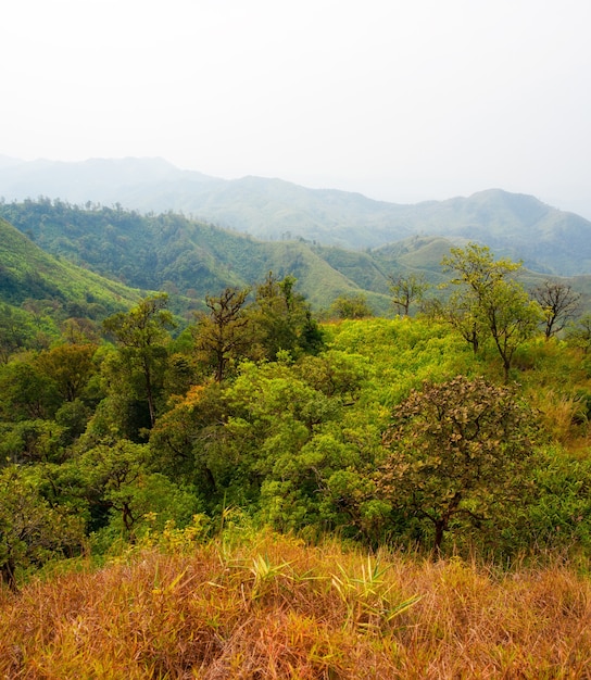 Reis in de berg "Khao Chang Phuak Mountain" Kanchanaburi thailand