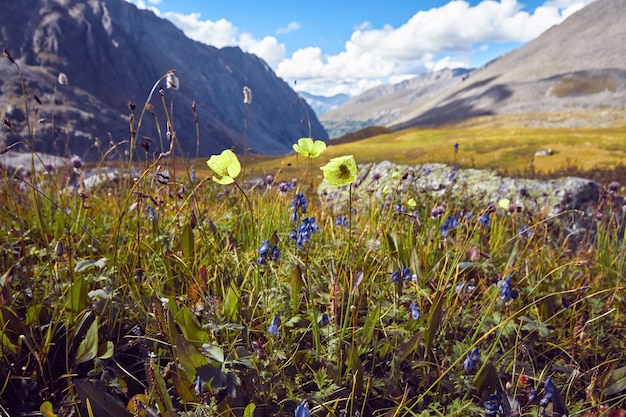 Reis te voet door de bergvalleien