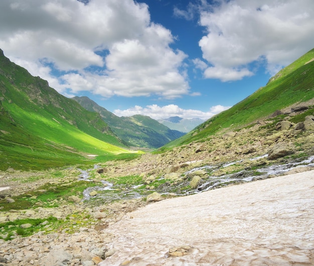 Reiver in berg en smeltende gletsjer